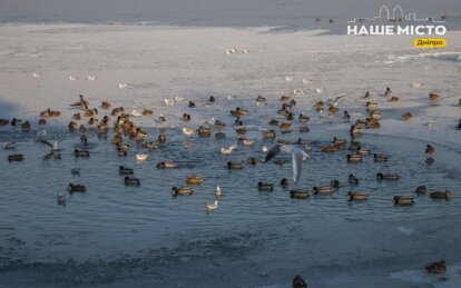 Що не можна робити 6 лютого: народні прикмети та заборони