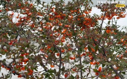 Сретение Господне 2026: обряды и суеверия