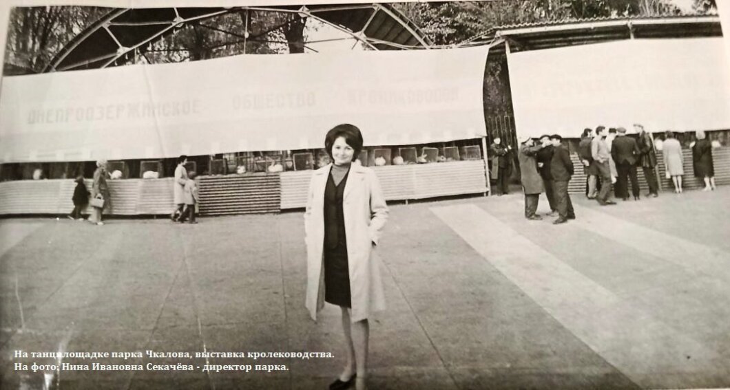 ЕКСКЛЮЗИВ
                                Від товстолобика, білого амура та лебедів до царства качок: невідомі сторінки історії озера в парку Глоби