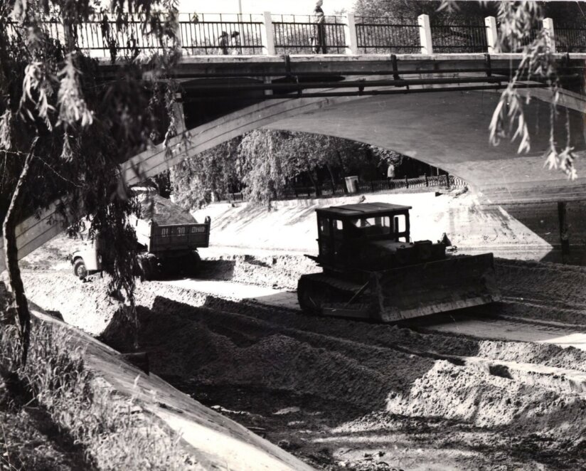 ЕКСКЛЮЗИВ
                                Від товстолобика, білого амура та лебедів до царства качок: невідомі сторінки історії озера в парку Глоби