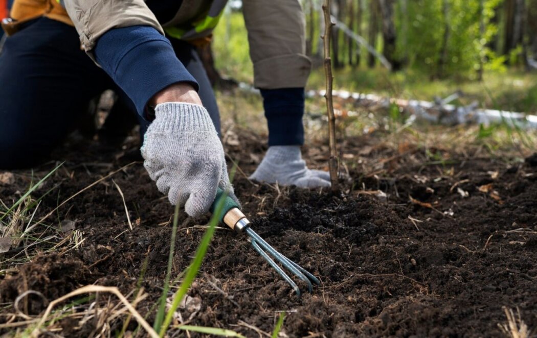Місячний календар посівів у березні