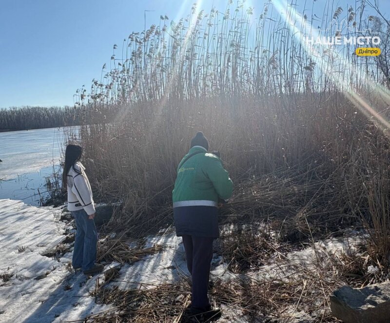 Дніпро оновлює зелені зони після зими: стартував комплекс весняних робіт