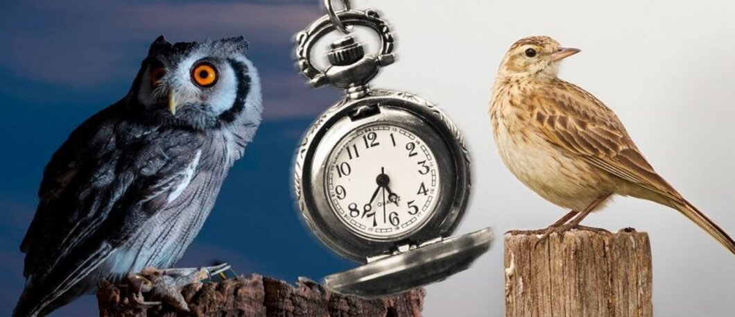 ЕКСКЛЮЗИВ
                                Перехід на літній час без шкоди для здоров’я: поради лікарів і психологів з Дніпра