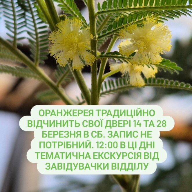 Екскурсії, майстер-класи та продаж рослин: як у Дніпрі працюватиме Ботсад ДНУ у березні 2026