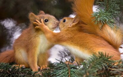 В Украине начинается «сезон тишины»: какие правила действуют и за что будут штрафовать