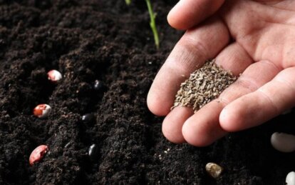 Лунный посевной календарь на апрель 2026: благоприятные дни