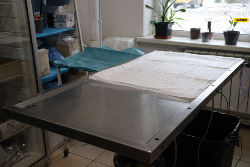 ЕКСКЛЮЗИВ
                                Стерилізація: як допомогти безпритульним тваринам у Дніпрі