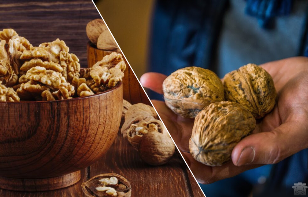 У Дніпрі 83-річний чоловік продає горіхи біля заправки на Образцова