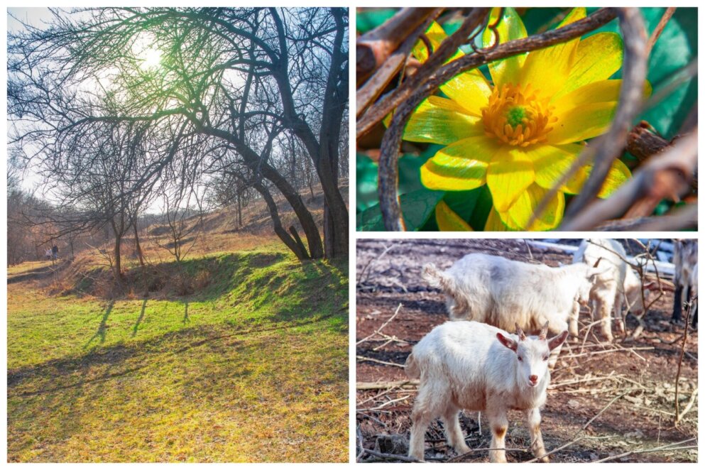 Тунельна балка у березні 2026 - Наше Місто