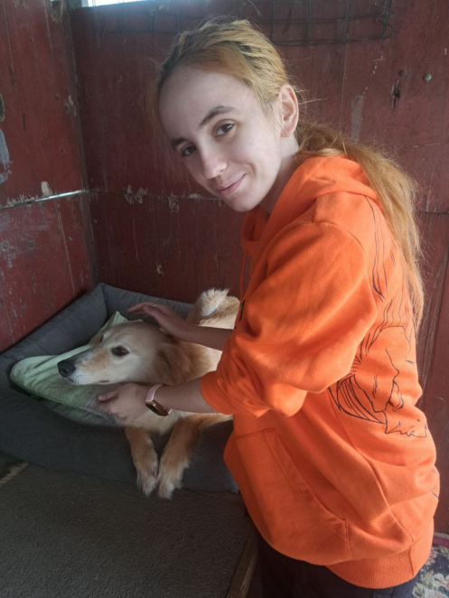 ЕКСКЛЮЗИВ
                                Стерилізація: як допомогти безпритульним тваринам у Дніпрі