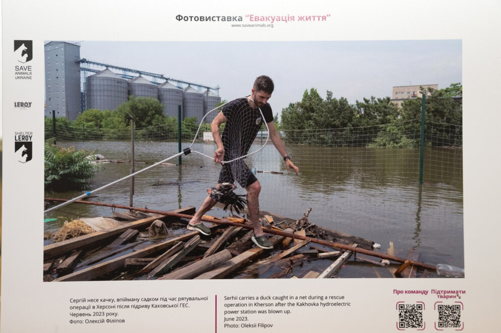 ЕКСКЛЮЗИВ
                                Волонтери Save Animals Ukraine врятували понад 3600 тварин