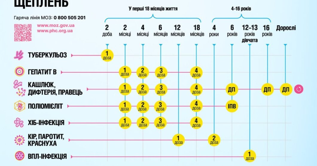 ЕКСКЛЮЗИВ
                                Щеплення у Дніпрі за європейськими стандартами: що передбачає календар-2026