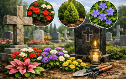 Невибагливі та витривалі квіти для цвинтаря: що варто посадити та як обрати рослини