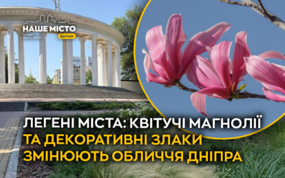 Легені міста: квітучі магнолії та декоративні злаки змінюють обличчя Дніпра