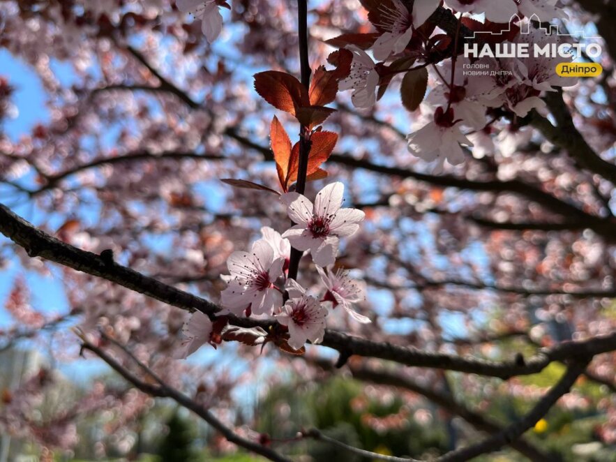 Березень 2026: скільки працюємо і відпочиваємо — детальний календар