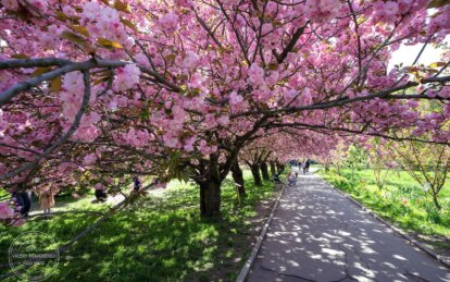 Погода в Україні на тиждень 9–15 березня 2026 - Наше Місто