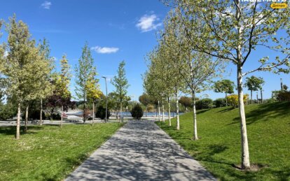 Температурний рекорд березня 2026 у Дніпрі - Наше Місто