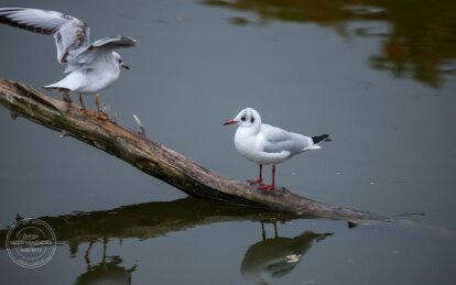 Яке сьогодні свято: прикмети та забобони 12 березня