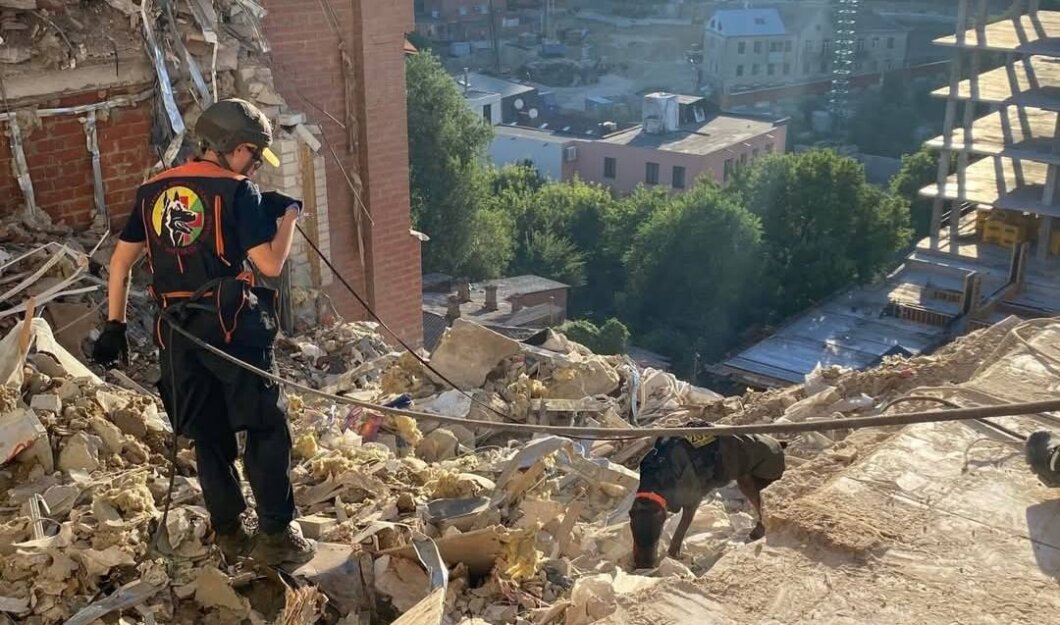 Знайшла понад 170 людей: у Дніпропетровській області померла відома собака-рятувальниця