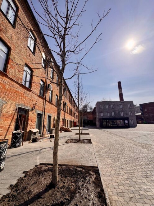 У центрі Дніпра колишню «Володарку» перетворюють на сучасний простір