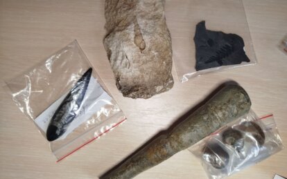 Історичний музей у Дніпрі поповнився унікальною палеонтологічною колекцією