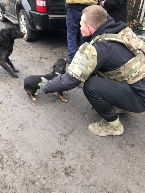 ЕКСКЛЮЗИВ
                                Катастрофічно багато покинутих тварин: черговий виїзд дніпровських зооволонтерів