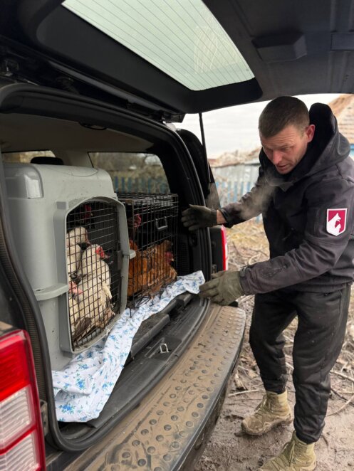 ЕКСКЛЮЗИВ
                                Катастрофічно багато покинутих тварин: черговий виїзд дніпровських зооволонтерів