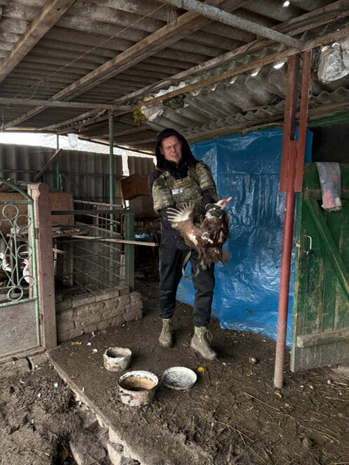 ЕКСКЛЮЗИВ
                                Катастрофічно багато покинутих тварин: черговий виїзд дніпровських зооволонтерів