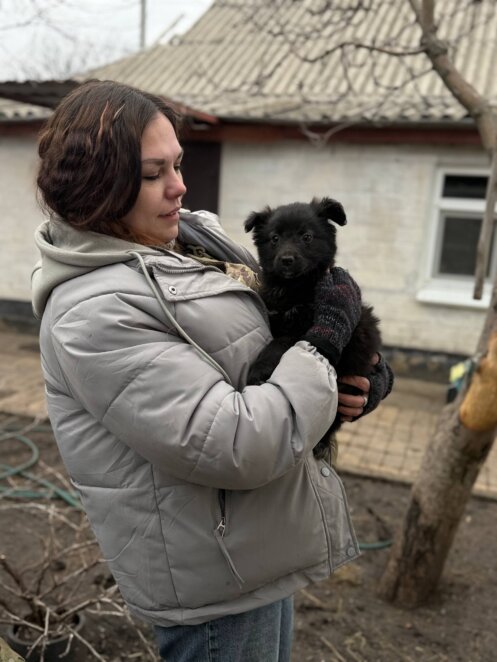 ЕКСКЛЮЗИВ
                                Катастрофічно багато покинутих тварин: черговий виїзд дніпровських зооволонтерів