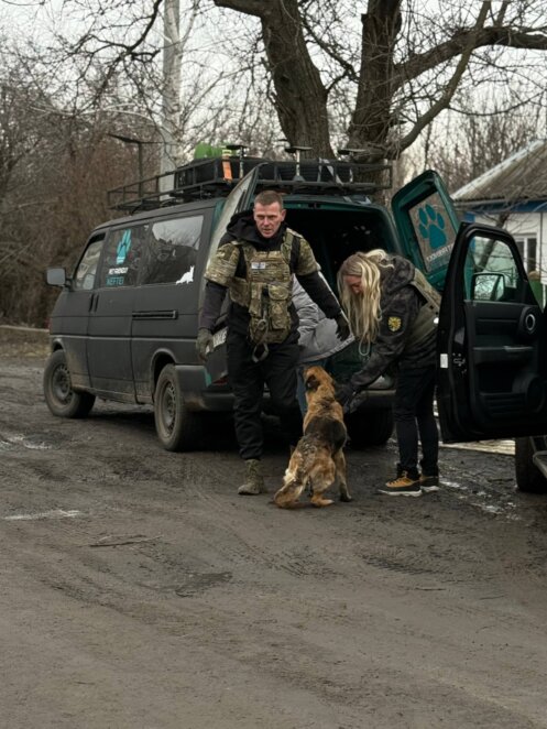 ЕКСКЛЮЗИВ
                                Катастрофічно багато покинутих тварин: черговий виїзд дніпровських зооволонтерів