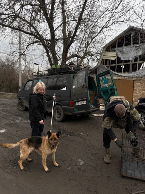ЕКСКЛЮЗИВ
                                Катастрофічно багато покинутих тварин: черговий виїзд дніпровських зооволонтерів