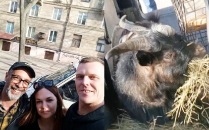 Їздили без реба і врятували козлика Костянтина: чергова евакуаційна місія дніпровських волонтерів