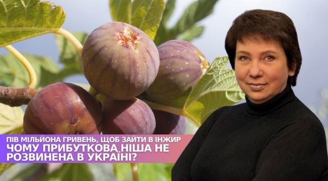 На Дніпропетровщині підприємиця вирощує 100 сортів інжиру