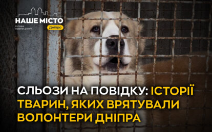Сльози на повідку: історії тварин, яких врятували волонтери Дніпра