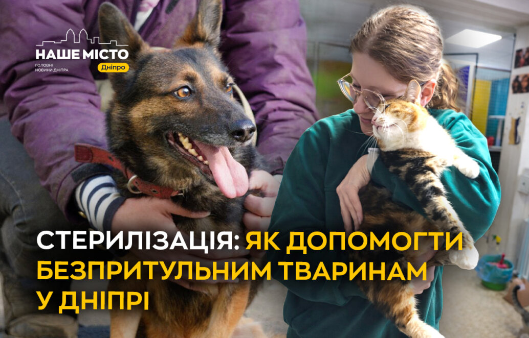 ЕКСКЛЮЗИВ
                                Стерилізація: як допомогти безпритульним тваринам у Дніпрі