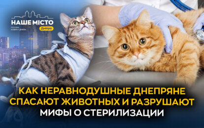 Как неравнодушные днепряне спасают животных и разрушают мифы о стерилизации