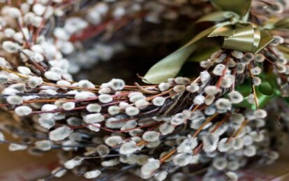 Вербна неділя 2026: дата, значення та традиції святкування