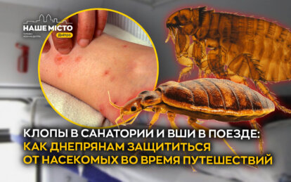 Клопы в санатории и вши в поезде: как днепрянам защититься от насекомых во время путешествий