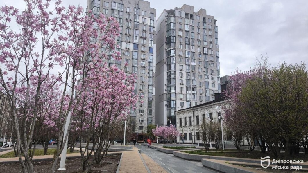 Магнолії у Дніпрі: де ростуть - Наше Місто