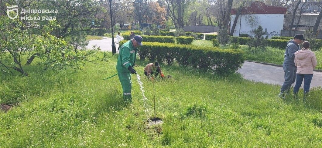 ОФІЦІЙНО                Спільний внесок у майбутнє: бізнес та міська рада висадили дерева в межах проєкту «Дніпро_квітучий»