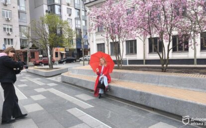 Магнолії у Дніпрі: де ростуть - Наше Місто