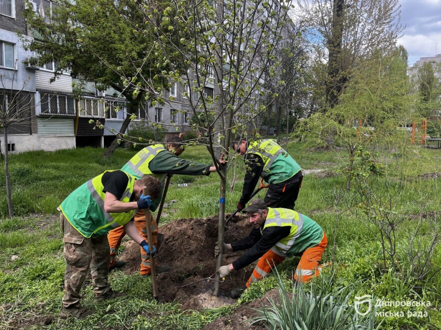 ОФІЦІЙНО                #Дніпро_квітучий: у Дніпрі мешканці разом із владою висаджують дерева у дворах