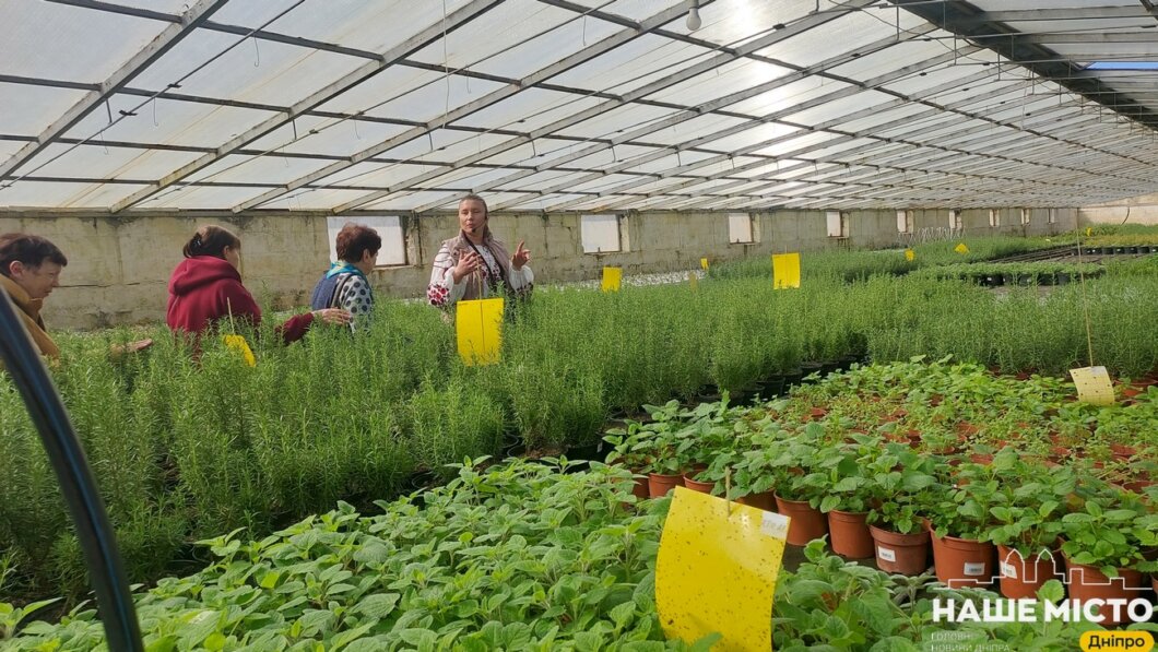 ЕКСКЛЮЗИВ
                                Рідкісні рослини, старовинні фортеці та храми: що можна подивитися на Дніпропетровщині