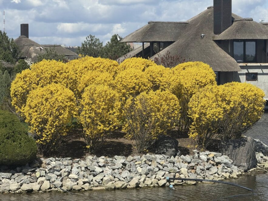 Яхт-клуб Січ квітень 2026 - Наше Місто
