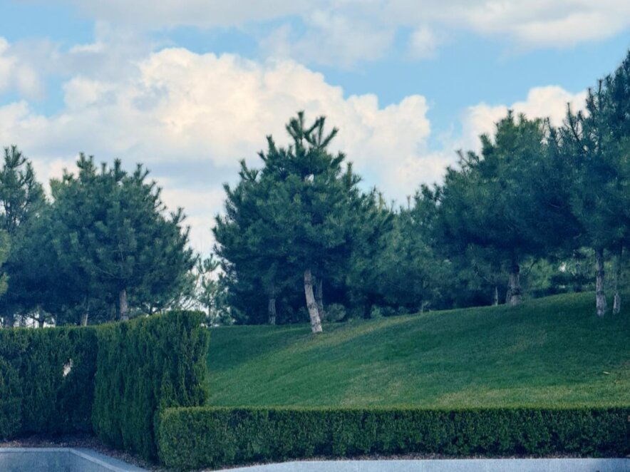 Зелені алеї та птахи на кожному кроці: весняний настрій яхт-клубу «Січ»