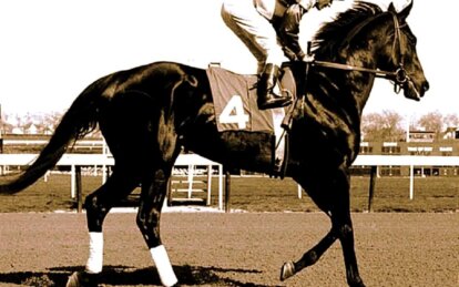 Скачки, ставки и мото-крос: история легендарного ипподрома в Днепре