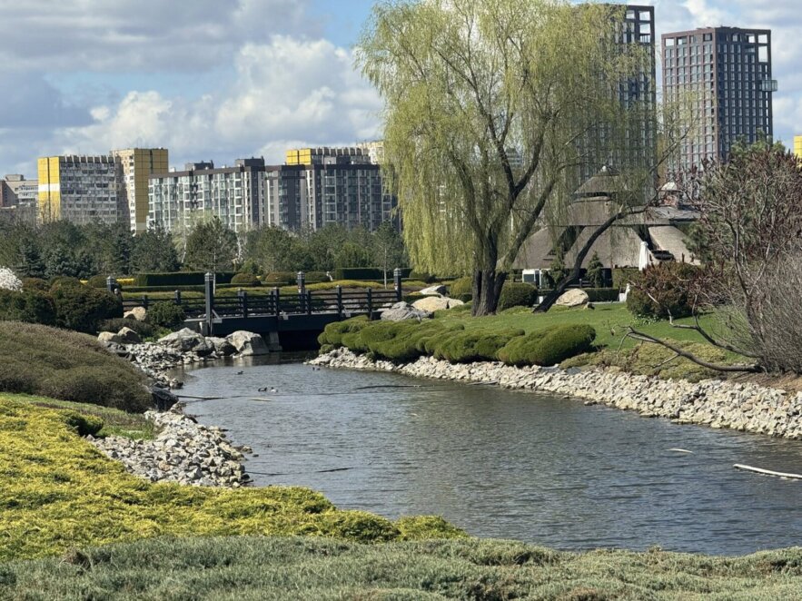 Зелені алеї та птахи на кожному кроці: весняний настрій яхт-клубу «Січ»