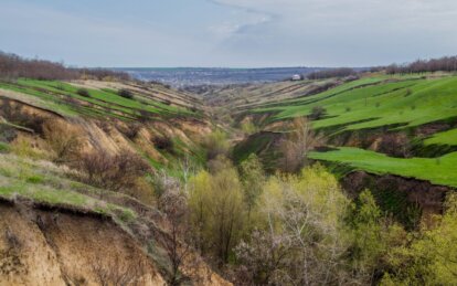 Як виглядає Сажівська балка у квітні - Наше Місто