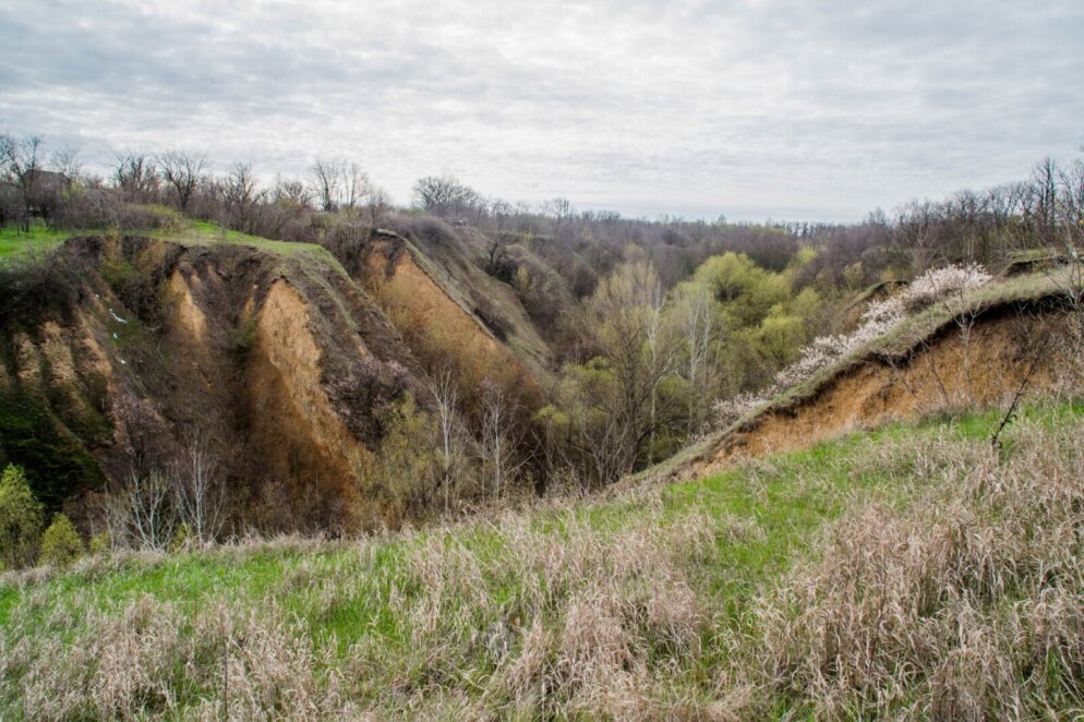Як виглядає Сажівська балка у квітні - Наше Місто