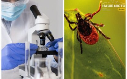 Клещи активизировались: где в Днепре сдать анализ на боррелиоз